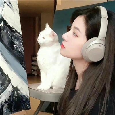 重生之慕甄 海报