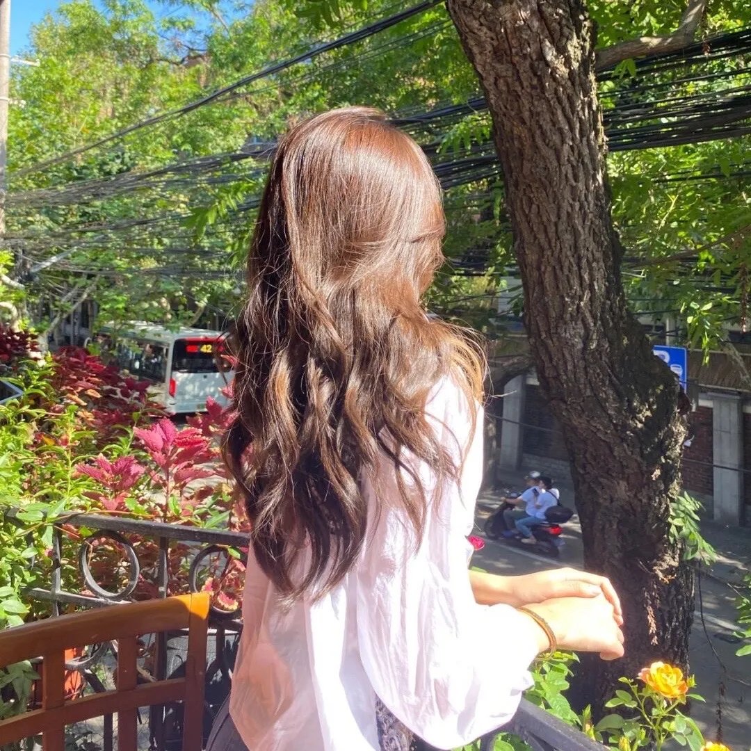 史提芬京之红玫凶宅 海报